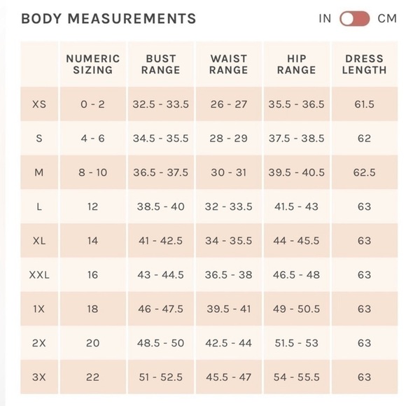 NWT Birdy Grey Gwennie Dress in Chiffon Silver - Picture 6 of 6